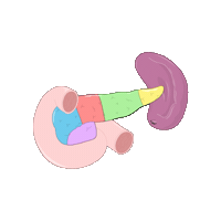 revmed study student medicine healthcare Sticker