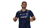 Hamburger Sv Clapping Sticker by Bundesliga