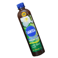 SushimiMx tea drinks sushi bebida Sticker