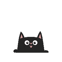 Petilandia cat animals cats pet Sticker
