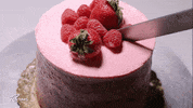 fail cake boss GIF by Rachael Ray Show