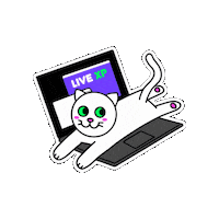 LiveXP french spanish english bonjour Sticker