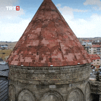 History Changing GIF by TRT