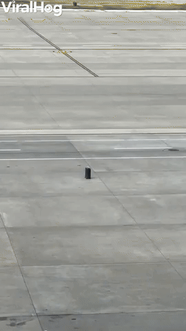 Runaway Luggage Rolls Across Airport Ramp