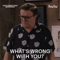 What Is Wrong With You Nathan Lane GIF by HULU