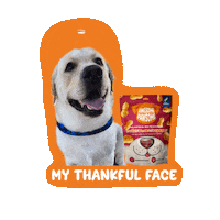 Happy Dog Sticker by Awesome Pawsome Treats