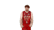 Liga Endesa Basketball Sticker by ACB