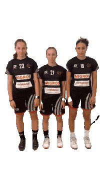 Celebration Power Sticker by Floorball Riders