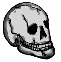 Halloween Magic Sticker by By Sauts // Alex Sautter (formerly Pretty Whiskey)