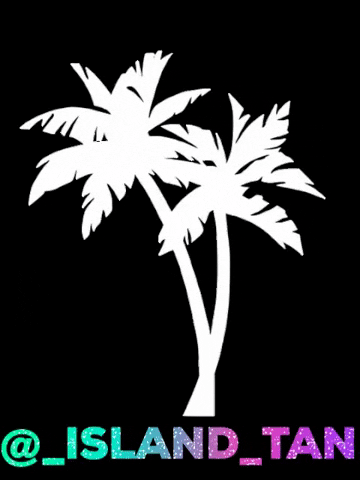 IslandTan giphygifmaker tropical island palm GIF