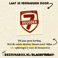 beerinabox craftbeer blackfriday breweries brouwers GIF