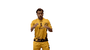 Disappointed Face Palm Sticker by Bregenz Handball