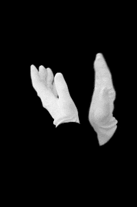 Video gif. White gloved hands on a black background, applaud forever in a perfect loop. 