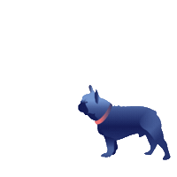 Dog New Post Sticker by Omio