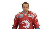 Ice Hockey Sticker by HC Oceláři Třinec