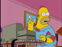 homer simpson GIF