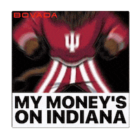 Indiana Hoosiers Iu Sticker by Bovada