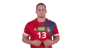 Proud Handball Sport Verein Hamburg Sticker by LIQUI MOLY HBL