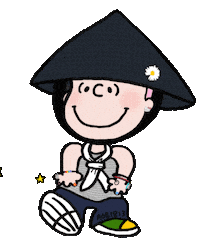 Vietnam 지드래곤 Sticker