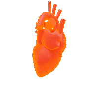 Heart Bounce Sticker