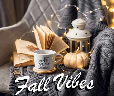 Ad gif. Atop a cotton gray-blue blanket draped over a silver chair, an Old Dominion Reality mug sits in front of an open book with a red leaf inside, a white lantern, and a white pumpkin while warm fairy lights thread throughout the autumn display. Text at the bottom reads, "Fall Vibes."