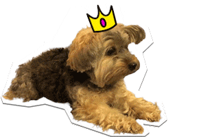 ChicSketch girl fashion new post swipe up Sticker