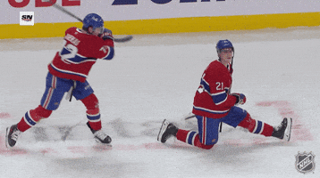 Montreal Canadiens Smile GIF by NHL