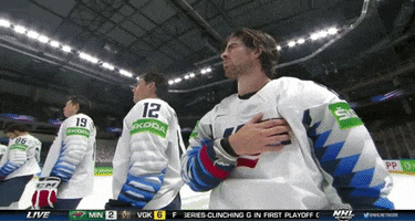 Ice Hockey America GIF by USA Hockey