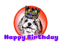 Happybirthday Sticker by Pimp Yo Pets