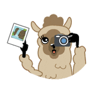 Alpaca Sticker by MarcaPeru
