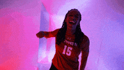 Wisconsin Volleyball GIF by Wisconsin Badgers