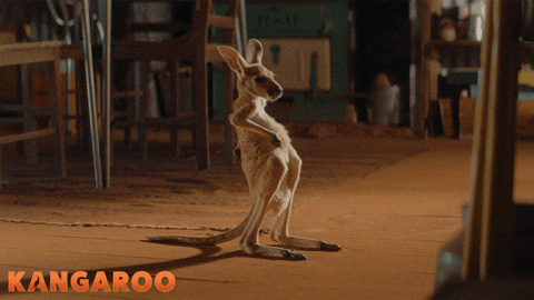 Deborah Mailman Kangaroo GIF by STUDIOCANAL