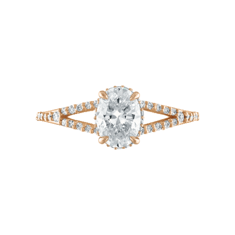 Wedding Love Sticker by Stephanie Gottlieb