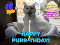GIF by REBEKAH