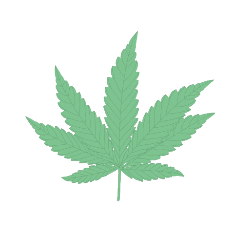 heybudskincare hey bud hey bud skincare heybudskincare Sticker
