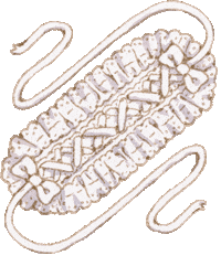 Hat Float Sticker