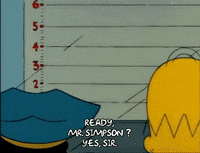 Season 1 GIF by The Simpsons