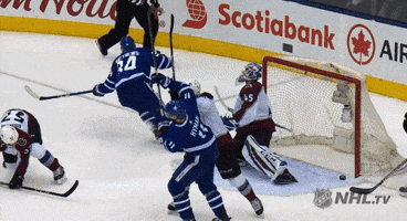 Celebrate Ice Hockey GIF by NHL