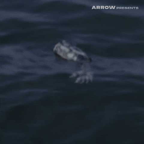 Al Pacino Dance GIF by Arrow Video