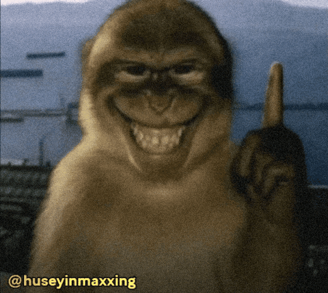 Monkey GIF