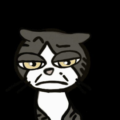 irene_hsyu giphygifmaker giphygifmakermobile cat no GIF