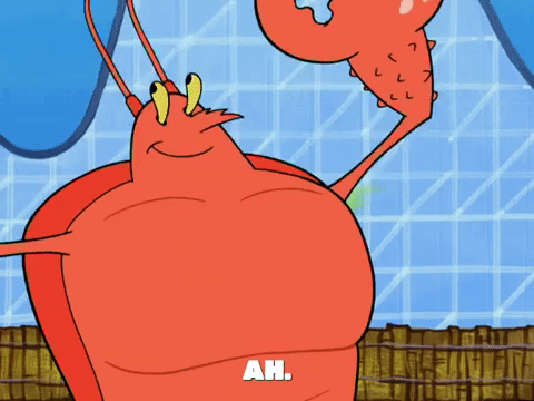 season 5 episode 6 GIF by SpongeBob SquarePants