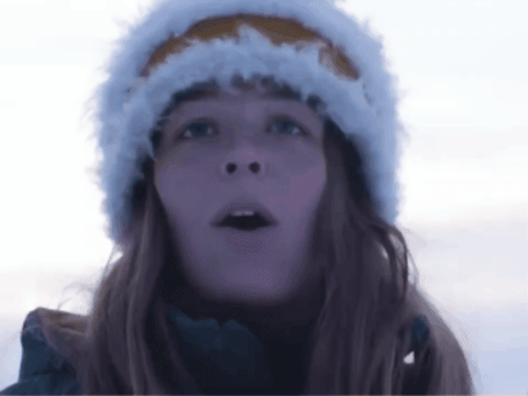 happyant giphygifmaker giphycreatortest alaska maggie GIF