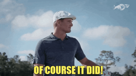 VicVik giphygifmaker giphyattribution GIF