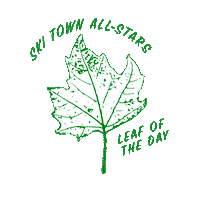 Fall Sticker by Ski Town All-Stars