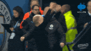City Sheffieldunited GIF by MolaTV