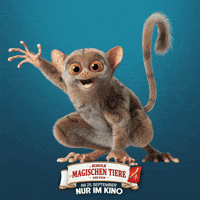Kino Gute Laune GIF by Die Schule der magischen Tiere - Der Film