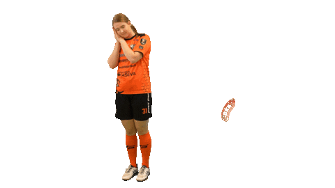 Floorball Salibandy Sticker by F-liiga