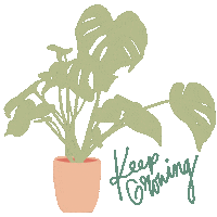 Plant Grow Sticker by Texas Tech University RISE