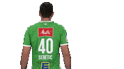 Handball Gwdminden Sticker by GWD Minden Handball-Bundesliga GmbH & Co.KG